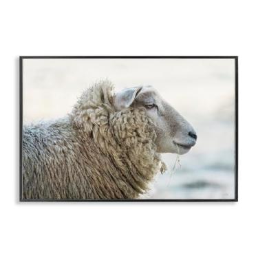 Imagem de Stupell Industries Deep Thoughts Sheep Portrait White Framed Giclee Art, design por Martin Podt, 20 x 30