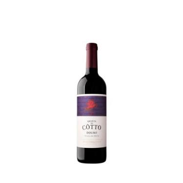 Imagem de Vinho Fino Tinto Seco Vinha do Dote Quinta do Côotto - 750ml