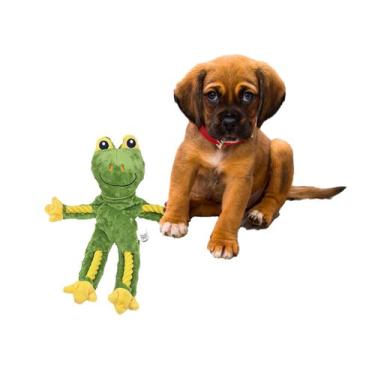 Imagem de Brinquedo Mordedor Sapo Corda urso Pelúcia p/ Cachorro Cães Pet Premiu