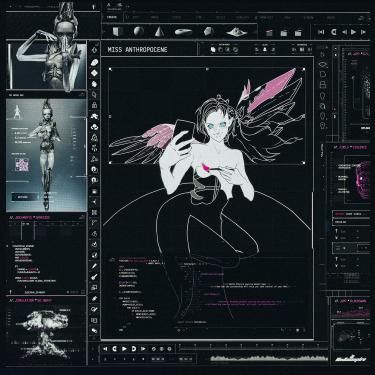 Imagem de Miss Anthropocene [Disco de Vinil]