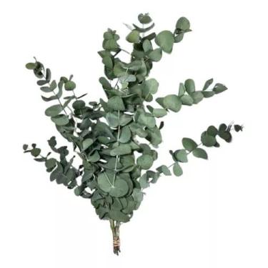 Imagem de Buquê Eucalipto De Flor De Corte Desidratada Seco Decoração - FLORA FU