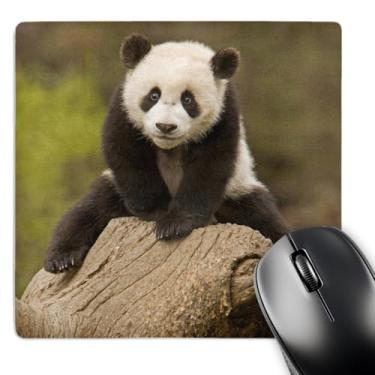 Imagem de 3dRose Mouse pad LLC 20 x 20 x 0,63 cm, China, Wolong P and a Reserve, Baby P and a Bear on Stump-As07 Aga0001 - Alice Garl e (mp_70238_1)