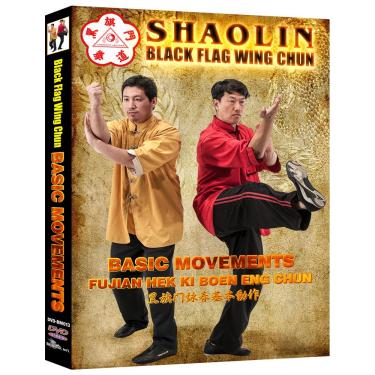 Imagem de Shaolin Black Flag Wing Chun - Basic Movements
