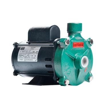 Imagem de Bomba Monoestágio B-12 1/4 Cv Rotor 9,4cm Monofásico Motor Weg Ip21 127/220-254v