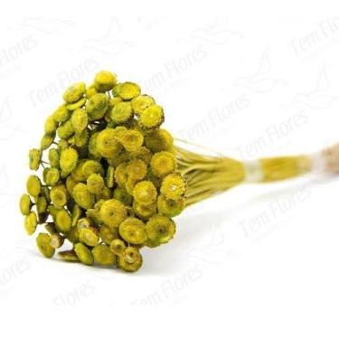 Imagem de Botão Branco Desidratado Sempre Viva Flores Secas Variações - Pense Fl