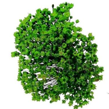 Imagem de 1500 Sempre Viva FlorzinhaI Flores Desidratadas - Pense Flores, Verde