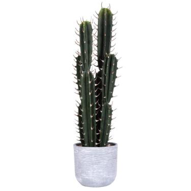 Imagem de Planta de cacto verde artificial Vickerman 27,5 cm - Faux