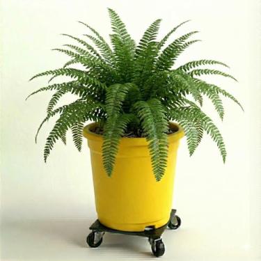 Imagem de Genérico Vaso Quadrado para Plantas Internas, Tamanho P, Azul, Terracota, Texturizado com Relevo, Formato Quadrado, Vaso de Chão, 12x10x11 cm