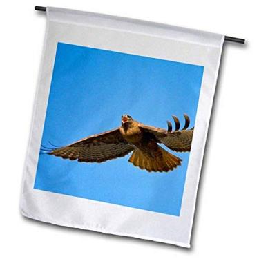 Imagem de 3dRose fl_95637_2" Bandeira de jardim Gary Luhm State de Washington, Red Tailed Hawk, Bird US48 Glu0042