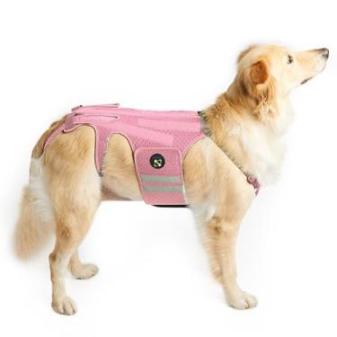 Imagem de Coodeo Suporte para as costas de cães para artrite de cães, protetor traseiro para IVDD, protetor traseiro ajuda no alívio da dor, recuperação cirúrgica e reabilitação, prevenção de doenças nas costas