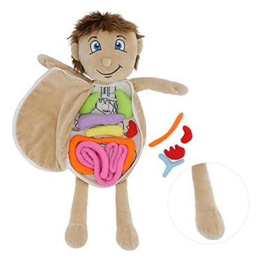 Corpo Humano, Brinquedo do Corpo Humano, Brinquedo de Ciências para  crianças 4+ anos