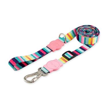 Imagem de Dog Trip Brasil Coleira Guia Retrátil Metros Para Cães Cachorro Adestramento Passeio Porte Grande Médio Pequeno (P, Oahu)