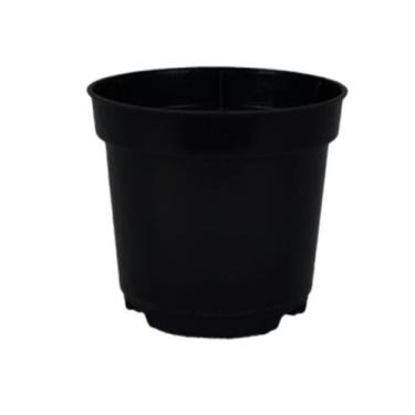 Imagem de Pote Holambra Vasinhos 06 Np Para Cactos e Suculentas 200 Un - Vaso Fo