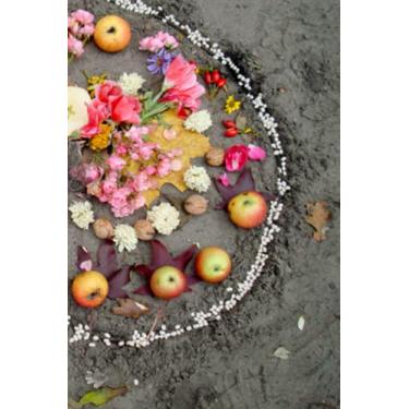 Imagem de My Book of Magic: 6x9 Spell Book Journal for Recording Rituals Ceremonies Spells Potions Daily Prayer Flower Notebook: Blank Wiccan Witchcraft ... Pagan Spellbook Healers Diary Handbook