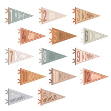 Imagem de Baby Milestone Pennant Signs VitalCozy Monthly 14 unidades