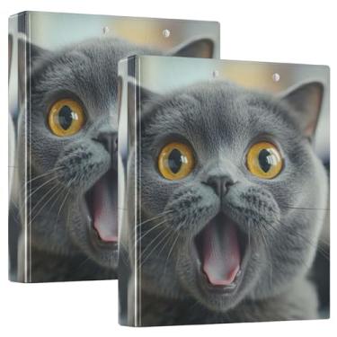 Imagem de Fichários personalizados engraçados de gato cinza de 3 cm com 3 anéis para guardar 200 folhas, caderno, impressão, anel redondo, 31,5 x 27 x 6 cm, 1 pacote