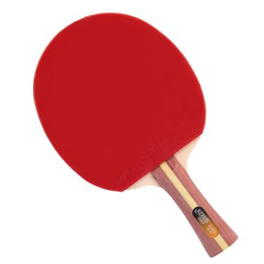 Imagem de Raquete de Tênis de Mesa DHS Clássica H2002 ITTF Approved 2 Estrelas-Unissex