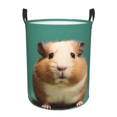 Imagem de Cesto de roupa para hamster fofo e estranho, dobrável, impermeável, cesto de armazenamento de roupas com alças, pano Oxford, organizador de brinquedos, cesta para banheiro, lavanderia, quarto, pequeno