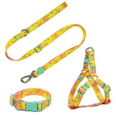 Imagem de Conjunto Peitoral Guia e Coleira para Cachorro MADOG Floral (Tamanho:P)