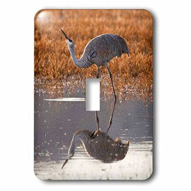 Imagem de 3dRose lsp_145238_1 Sandhill Crane Bird Drinking, Novo México, EUA Us32 Ldi0041 Larry Ditto Interruptor único