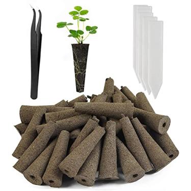 Imagem de Feyut Pacote Com 100 Esponjas De Cultivo, Esponjas De Reposição Para Crescimento De Raízes, Vagens De Sementes Compatíveis Com Aerogarden, Kit Inicial De Mudas Para Sistema De Jardim Interno Hidrop