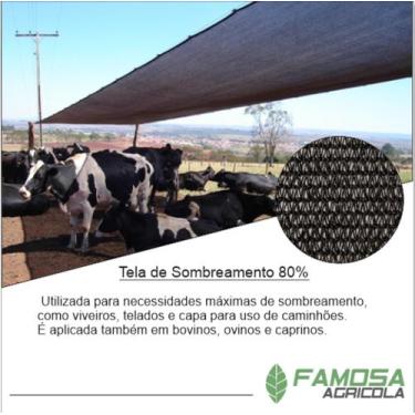 Imagem de Tela de sombreamento 80% 3x20 - Ginegar
