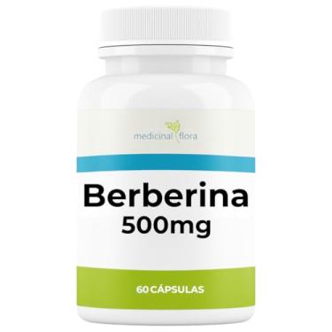 Imagem de Berberina 500mg - 60 Cápsulas