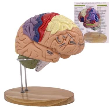 Imagem de PreAsion Modelo de cérebro humano 2X tamanho real, anatomia magnética destacável do cérebro em 4 partes com 131 identificadores numéricos, modelo 3D de 9 cores para aprendizagem
