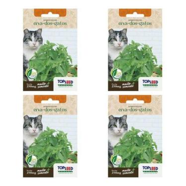 Imagem de Kit 4 Sementes Erva Dos Gatos Nepeta Cataria Catnip Petisco - Topseed
