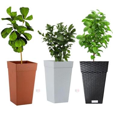 Imagem de Vaso De Planta Quadrado Coluna Rattan Grande P/Flores Plantas Pomar Jardim Sacada Jardinagem (MARROM)