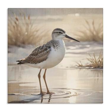 Imagem de Stupell Industries Arte de parede em tela Sunlit Sandpiper in Shallow Water, design de Susan Arnot, 61 x 61 cm