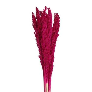 Imagem de Flor de Sorgo Seco Desidratado - Pense Flores, Pink