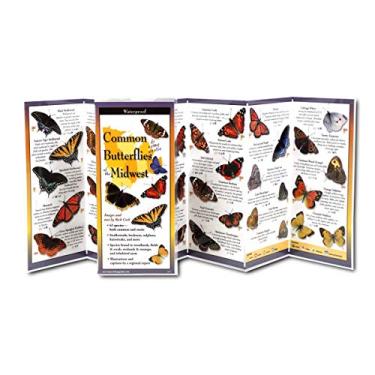 Imagem de Common Butterflies of the Midwest