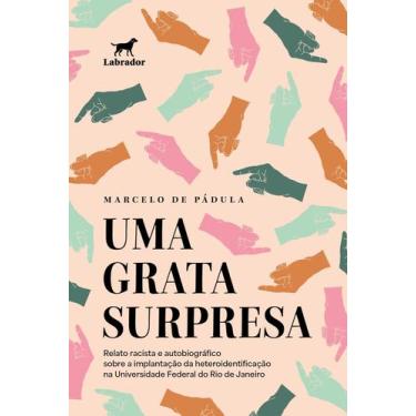 Imagem de Uma Grata Surpresa - LABRADOR, Sortido