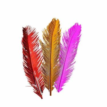 Imagem de Sortidos - Planta Seca Palmeira Cica Natural 70cm - Sortidos - Pense F