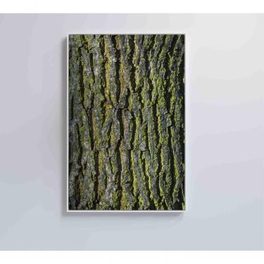 Imagem de Quadro Tronco árvore 60x90 Cm Vidro Impresso