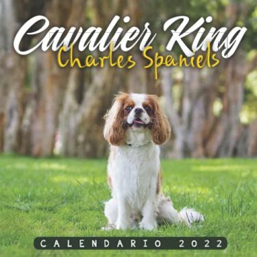 Imagem de Cavalier King Charles Spaniel Calendario 2022: Calendario 12 meses 2022-8.5 x 8.5 in cuando está cerrado y 8.5 x 17.0 in abierto - Organización y ... Perfecto como regalos, suministros de oficina