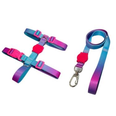 Imagem de Coleira Peitoral H Anti Puxão e Guia 1,10m para Cachorro Varias Estampas(Azul e Roxo,G)