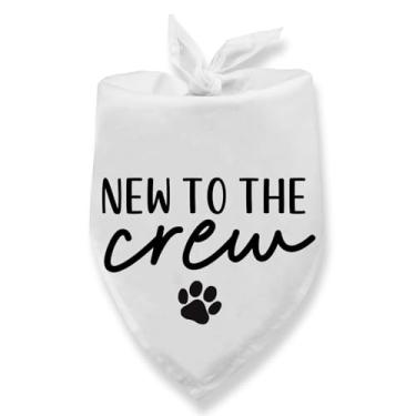 Imagem de Bandana nova para cães The Crew Dog anúncio de gravidez anúncio de bebê bandana para cães anúncio de gravidez revelação de gênero cachecol para gatos pequenos e médios cães