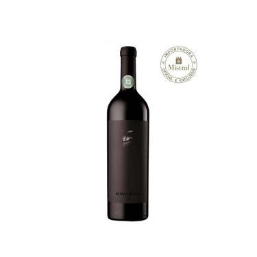 Imagem de Vinho Alma Negra Tinto 2021 (Tikal - Ernesto Catena) 750ml