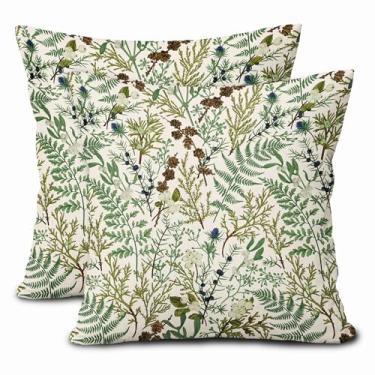 Imagem de aportt Capas de almofada de planta verde sálvia 40,6 x 40,6 cm, botânica, folhas de samambaia, decorativas, primavera, verão, vintage, floral, conjunto de 2 fronhas, decoração de casa de fazenda, para