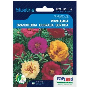Imagem de Sementes Portulaca Grandiflora (Sortida) Blueline TOPSEED