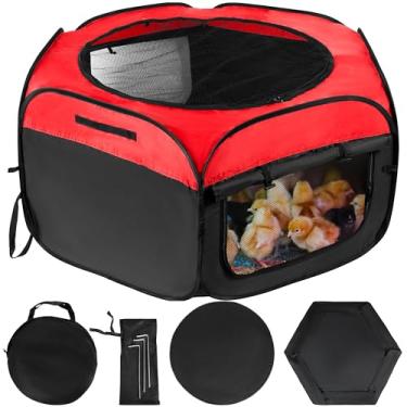 Imagem de Caixa de chocadeira para pintinhos Caixa de chocadeira para galinha Kit de chocadeira de galinha