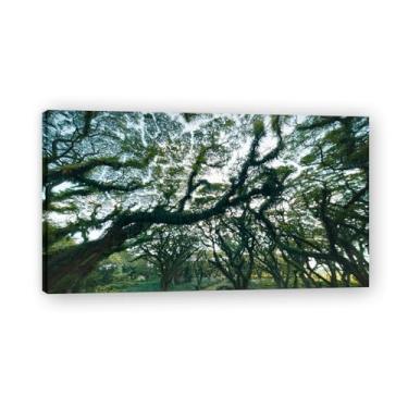 Imagem de Lush And VerdantReal Photo City Sea Snow Valley Grassland River Sunset Sunrise Impressão em tela Decoração de parede 20 x 36 cm Emoldurada