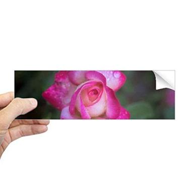 Imagem de DIYthinker Adesivo retangular com pétalas de flores rosa e lindas decalque para janela