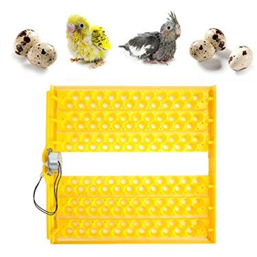 Imagem de Virador Automático de Ovos, Incubadora de Ovos, Bandeja Giratória, Bandeja Giratória, Incubadoras de Frango, Equipamento Automático de Criação de Ovos, Acessório de Incubação