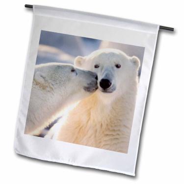 Imagem de 3dRose fl_70261_1 Bandeira de jardim da galeria Canadá, Manitoba, Hudson Bay, Churchill, Urso Polar - CN03 BJA0001-Janyes