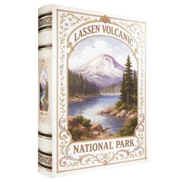 Imagem de XIAOAIKA Caixa decorativa de madeira – Caixas de livros falsas vintage com design de parque nacional, armazenamento secreto com fecho magnético, capa de couro, perfeita para estante de livros de