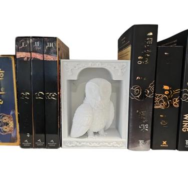 Imagem de Dragons Awakening Book End – Fantasy Book Nook Insert for Dragon Readers – Decoração de casa exclusiva para estantes de livros e bibliotecas (branco - coruja)
