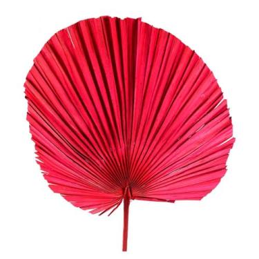 Imagem de Planta Seca Latania Vermelha 70cm